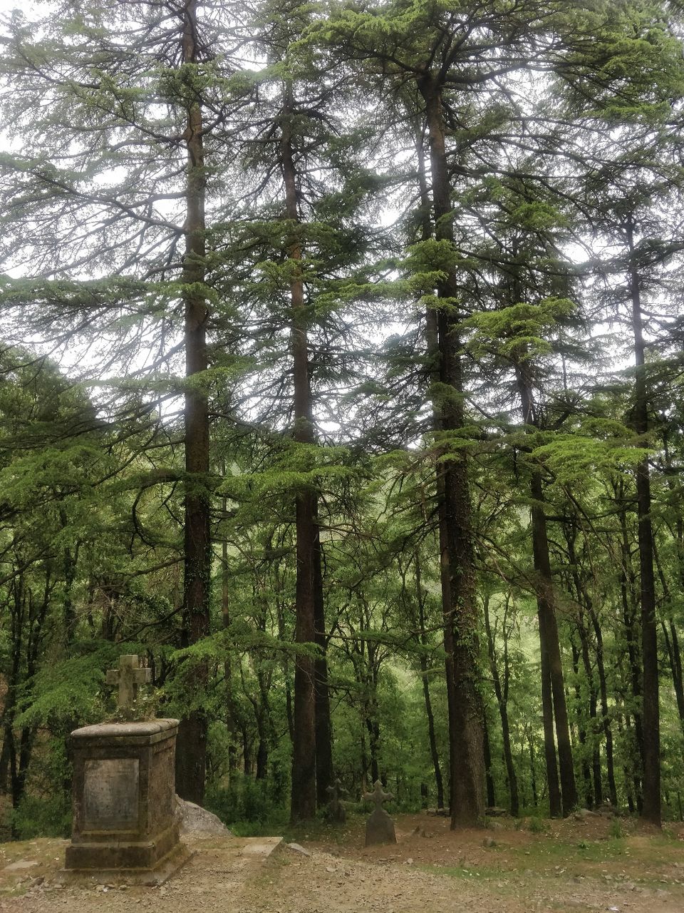 Photo of McLeod Ganj, Dharamshala, Himachal Pradesh, India by Jhu
