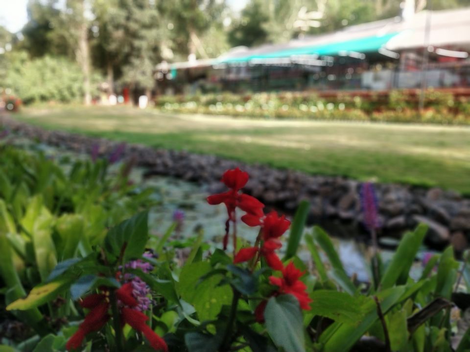 Photo of Mapro Garden, Mahabaleswar, Maharashtra, India by Jhu