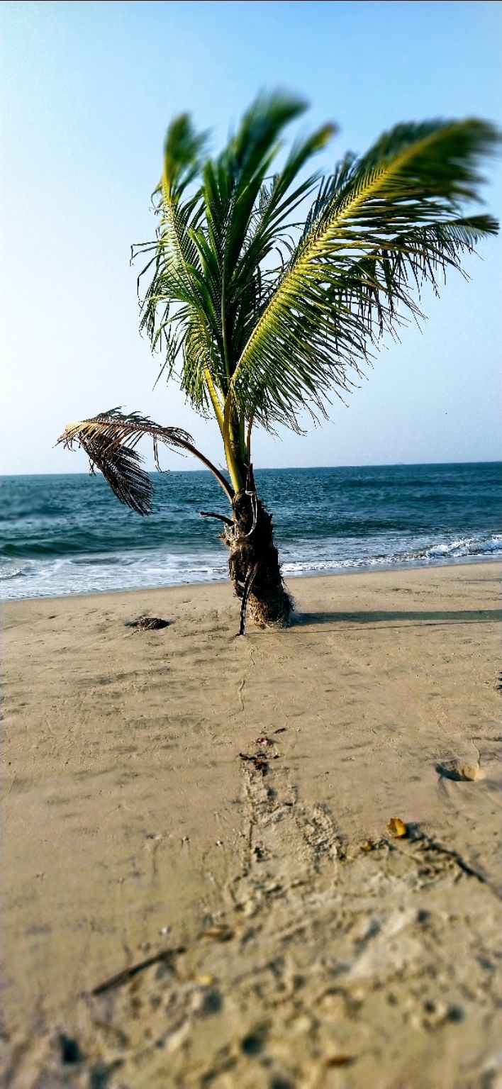 Photo of Bhatye Beach, Ratnagiri, Maharashtra, India by Adv Shashank More