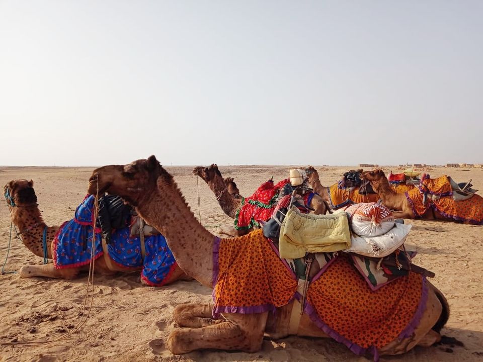 Photo of MY TRIP TO RAJASTHAN: An impromptu one by Prateek