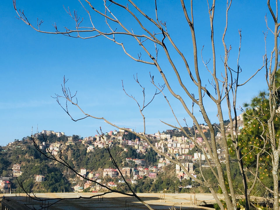 Photo of Queen Of Hill station Shimla by Thakur Rahul