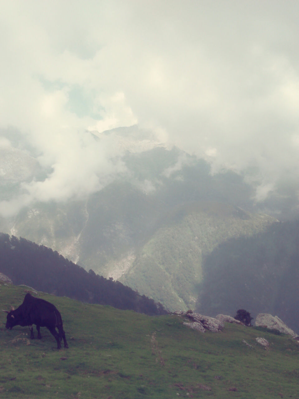 Photo of Triyund Track by Thakur Rahul