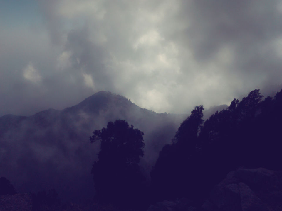 Photo of Triyund Track by Thakur Rahul