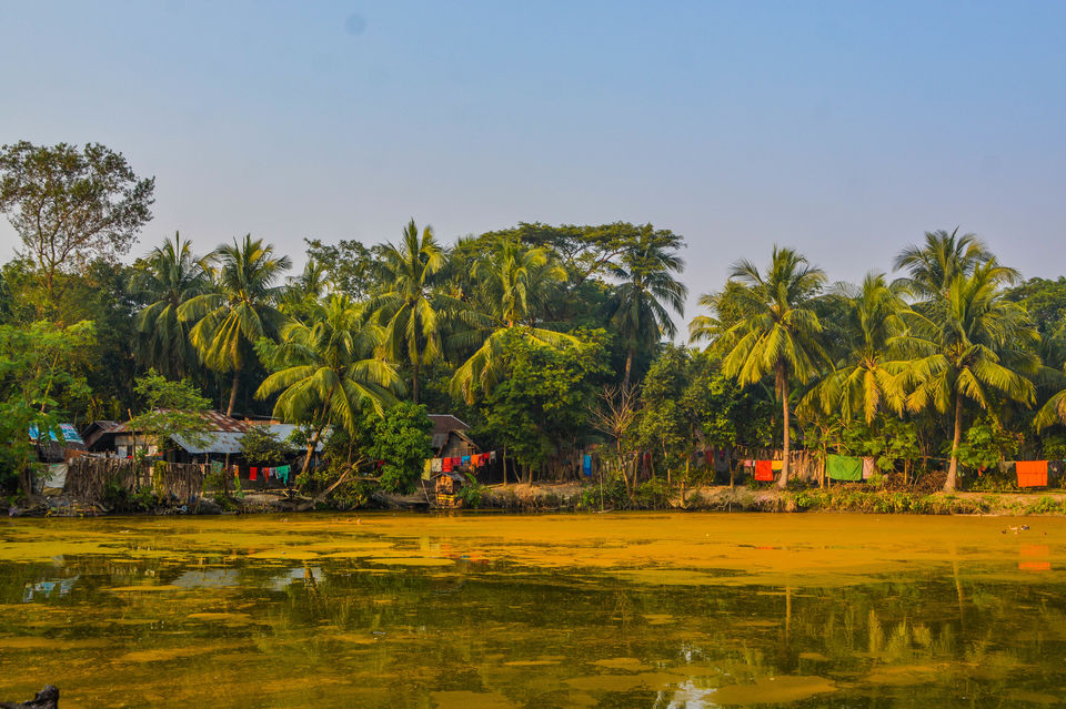 Photo of Senerbazar Ferry, Rajapur, Khulna Division, Bangladesh by Kanad Bose