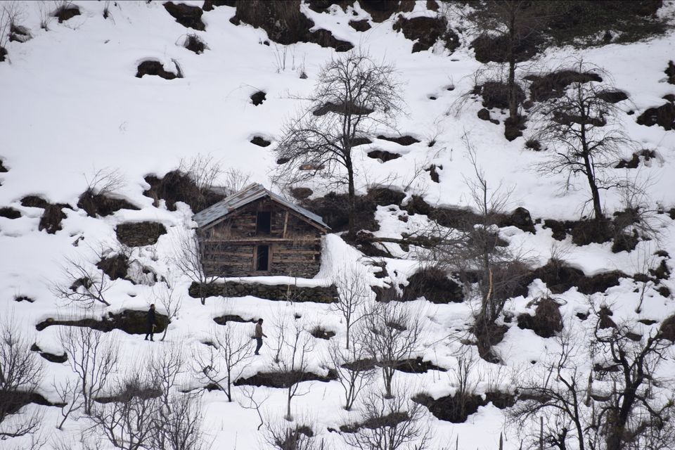 Photo of Tosh, Himachal Pradesh, India by Maninderjeet Singh Sidhu