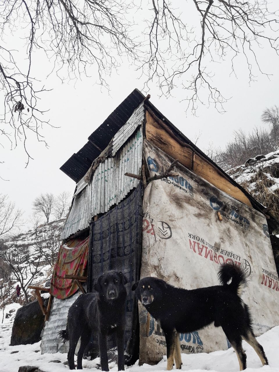 Photo of Tosh, Himachal Pradesh, India by Maninderjeet Singh Sidhu