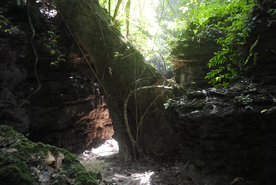 Photo of Baratang Limestone cave, Andaman by Sreenyanika Das
