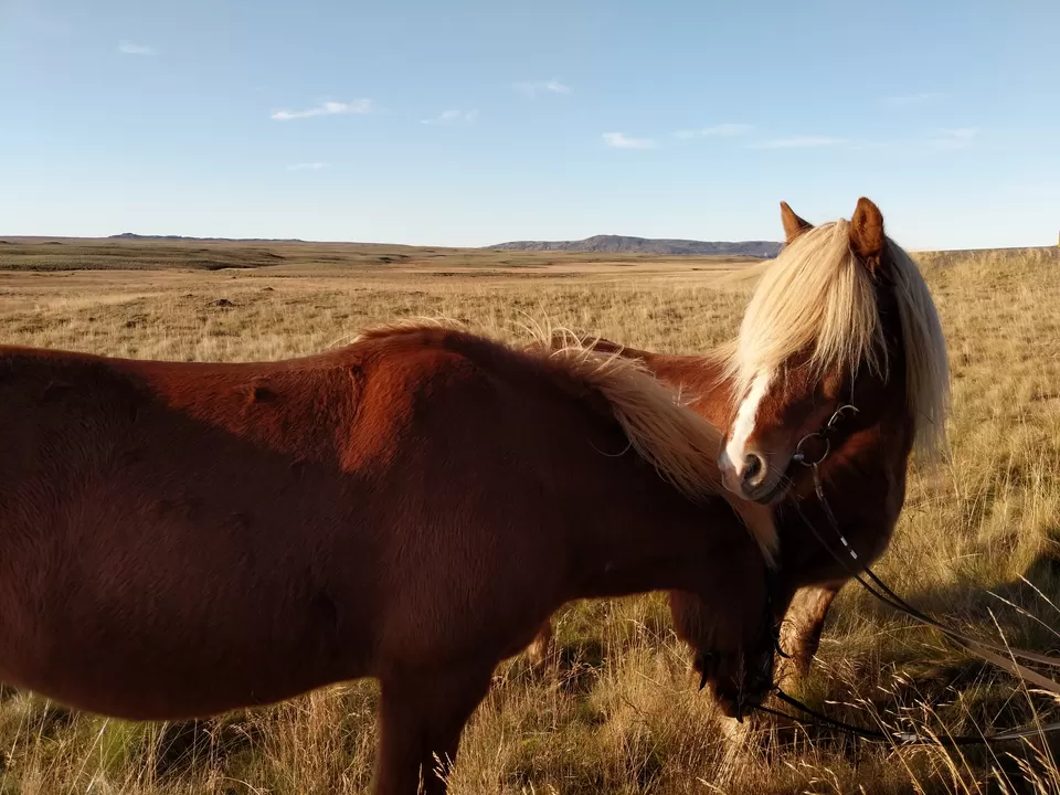 Photo of Hella, Iceland by Krishna Kumar Rishi