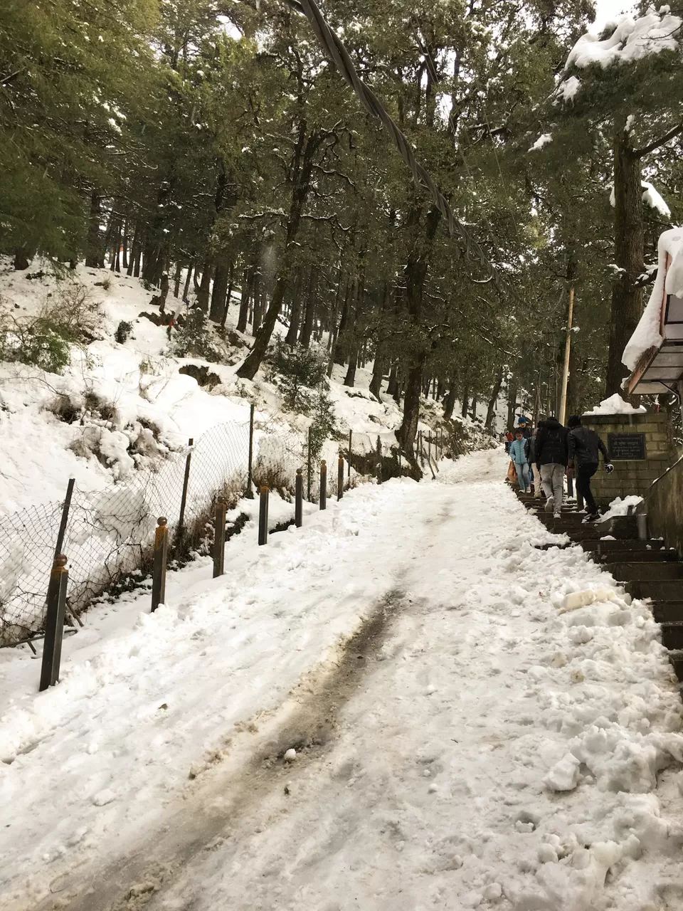 Photo of Shimla, Himachal Pradesh, India by Krishna Kumar Rishi