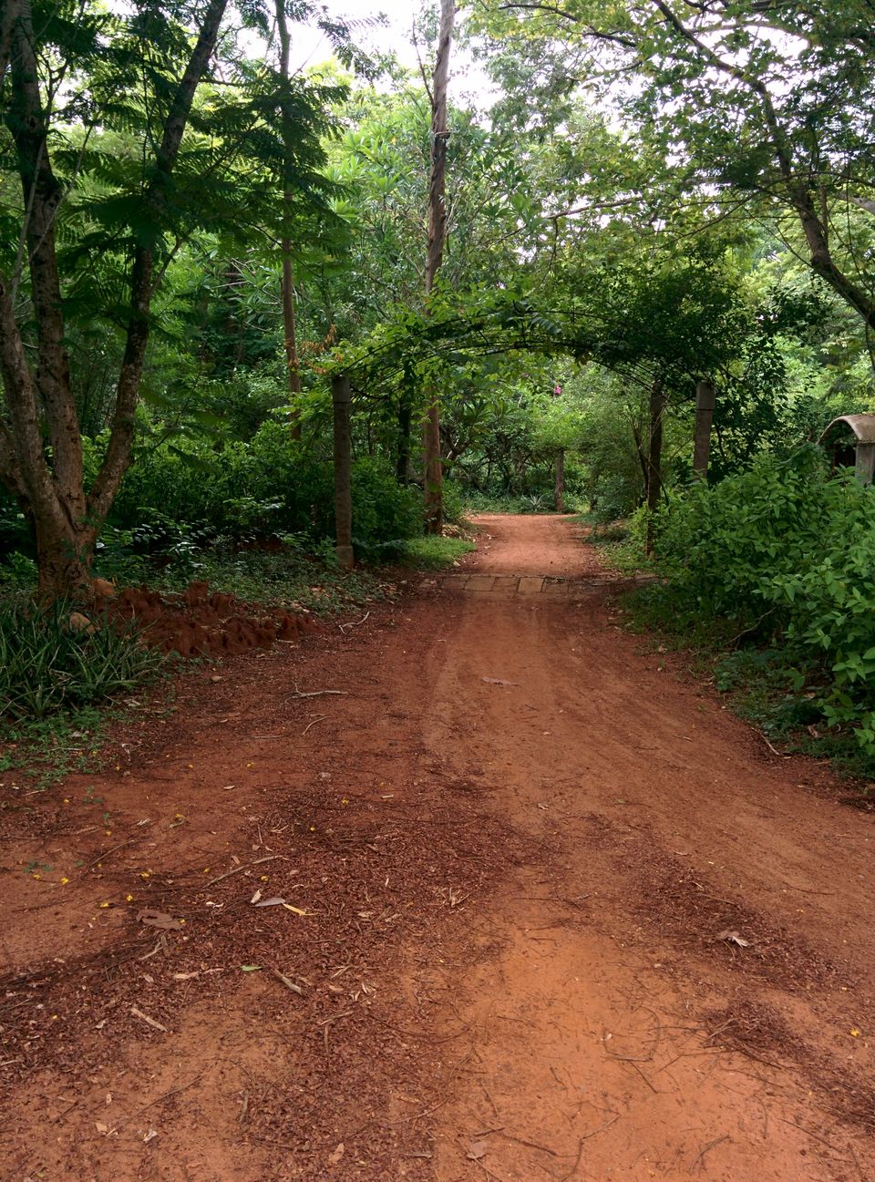 Photo of Discover Yourself in Auroville 5/5 by Nikhita Khurana