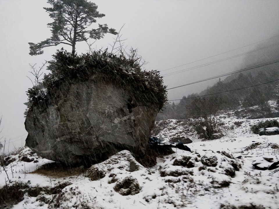 Photo of Lachen: Our First Snowfall Together. by Two Metal Tourists