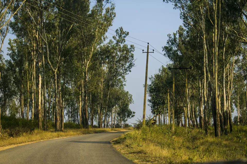 Photo of Bandipur By Aprajita Parkash