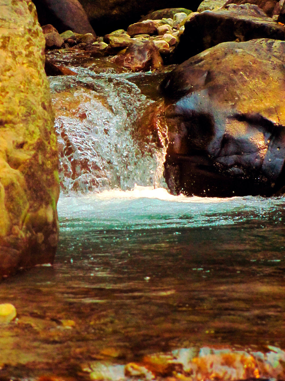 Photo of Corbett Tiger Den Resort, Pattapani, Uttarakhand, India by Aprajita Parkash