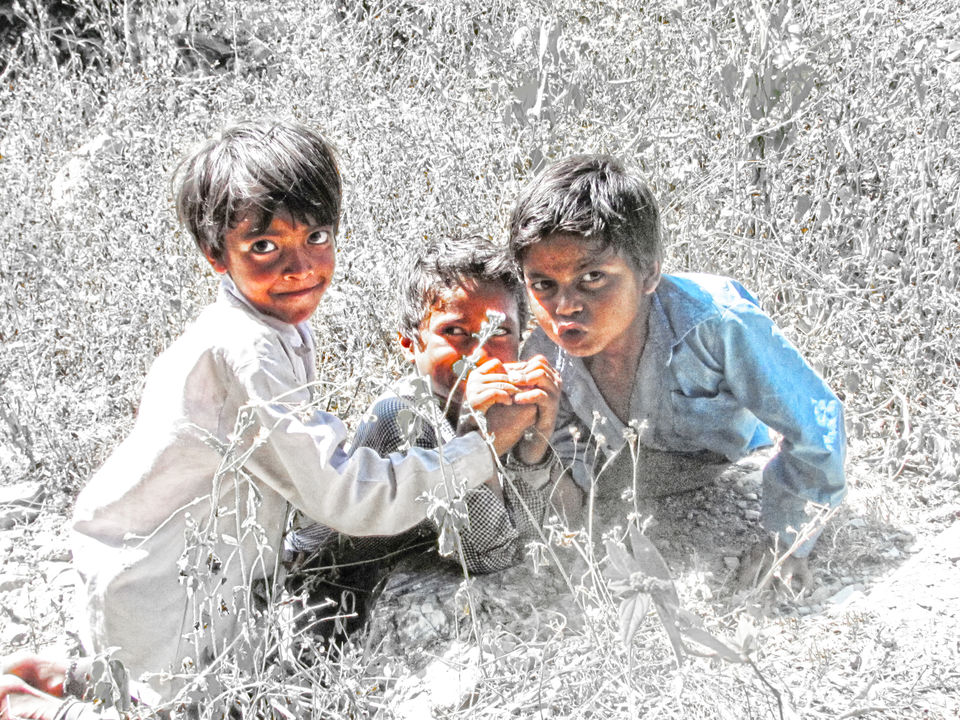 Photo of When Jim Corbett National Park didn't allow us for a Jungle Safari... What to do? by Aprajita Parkash