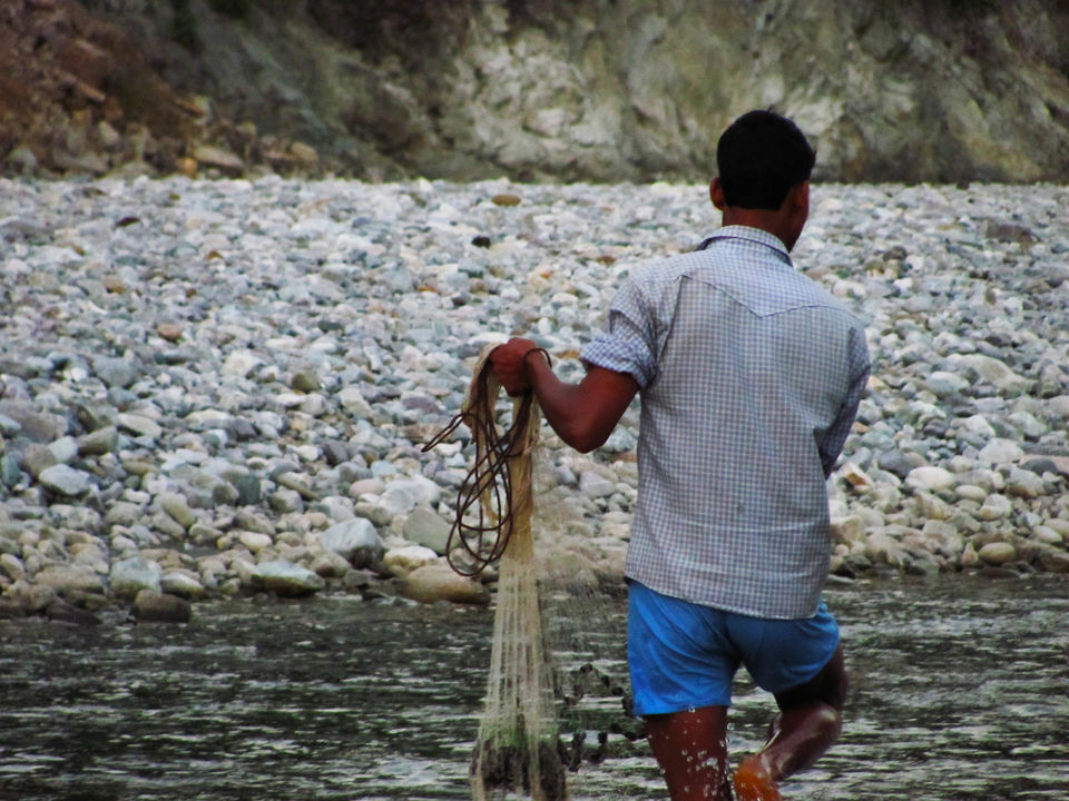 Photo of When Jim Corbett National Park didn't allow us for a Jungle Safari... What to do? by Aprajita Parkash