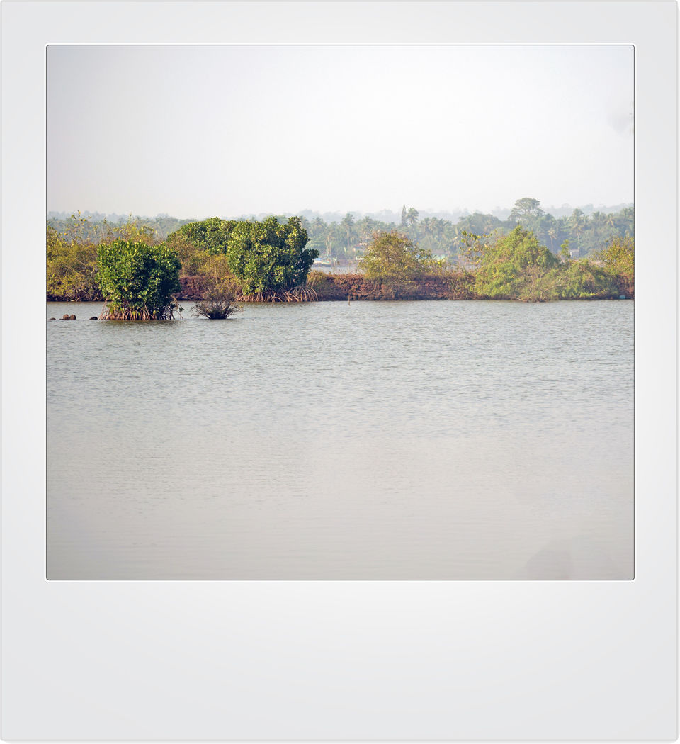 Photo of Just the Picturesque Goa! by Aprajita Parkash