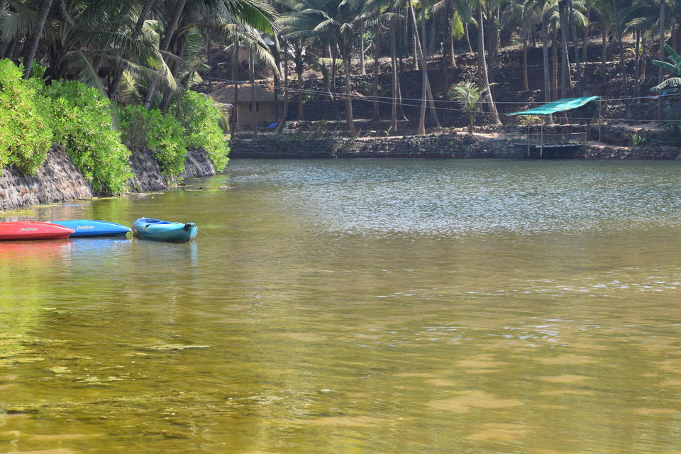 Photo of Just the Picturesque Goa! by Aprajita Parkash