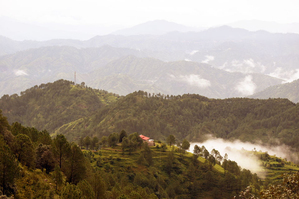 Photo of Essence of Nature, Gharkheton, Uttarakhand, India by Aprajita Parkash