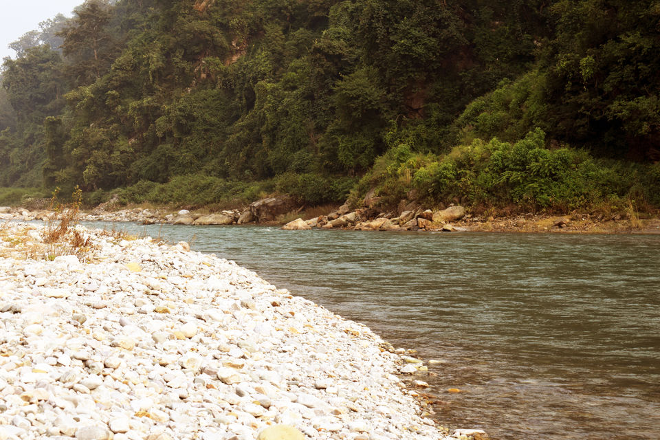 Photo of The Den Corbett, Ranikhet Road, Kumeriya, Chilkiya Range, Uttarakhand, India by Aprajita Parkash