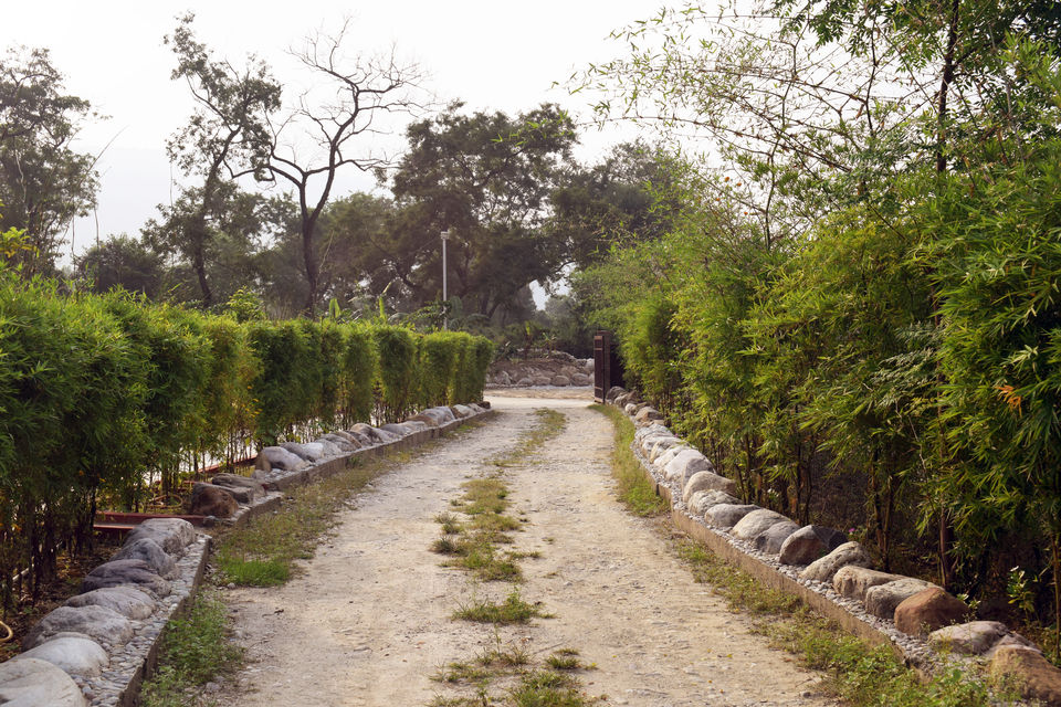Photo of Kunkhet Valley Resort, Chilkiya Range, Uttarakhand, India by Aprajita Parkash