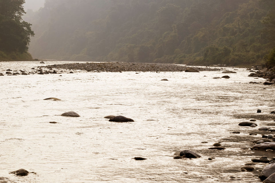 Photo of Kosi, Nainital, Uttarakhand, India by Aprajita Parkash
