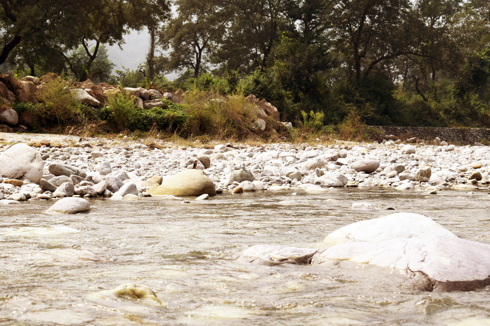 Photo of Kosi, Nainital, Uttarakhand, India by Aprajita Parkash