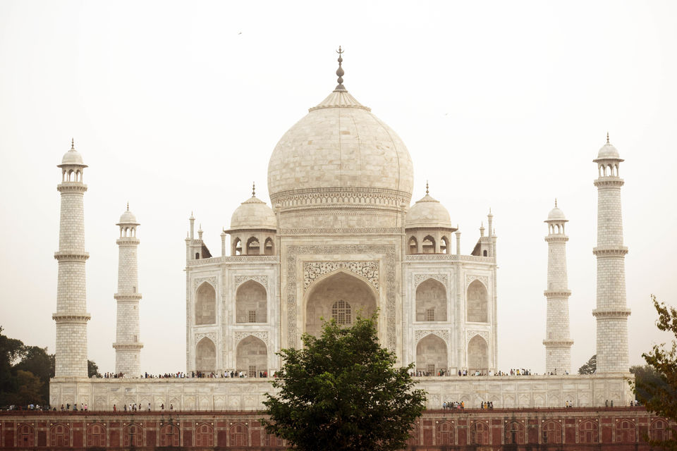Photo of Mehtab Bagh, Agra, Uttar Pradesh, India by Aprajita Parkash