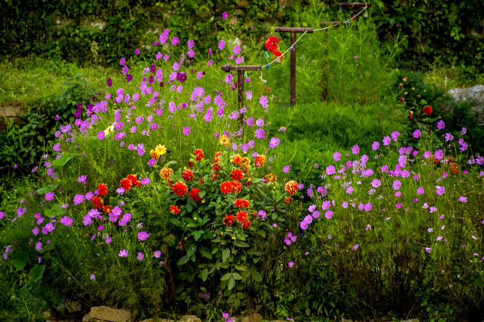 Photo of Khirsu, Uttarakhand, India by Aprajita Parkash