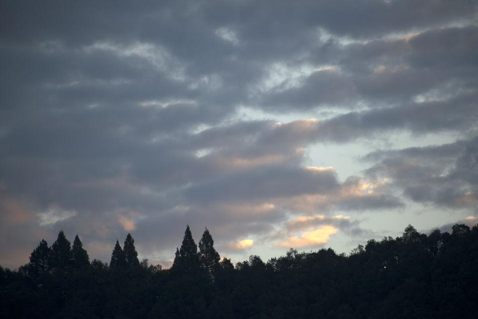 Photo of The place where the sun didn't rise! The beautiful Khirsu #offbeatuttarakhand by Aprajita Parkash