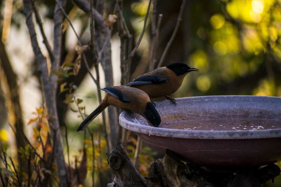 Photo of Somerset Lodge, Mukteshwar, Uttarakhand, India by Aprajita Parkash