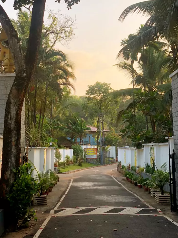 Photo of Hotel Rohini International, Thiruvananthapuram - Ponmudi Road, Vithura, Kerala, India by Aprajita Parkash