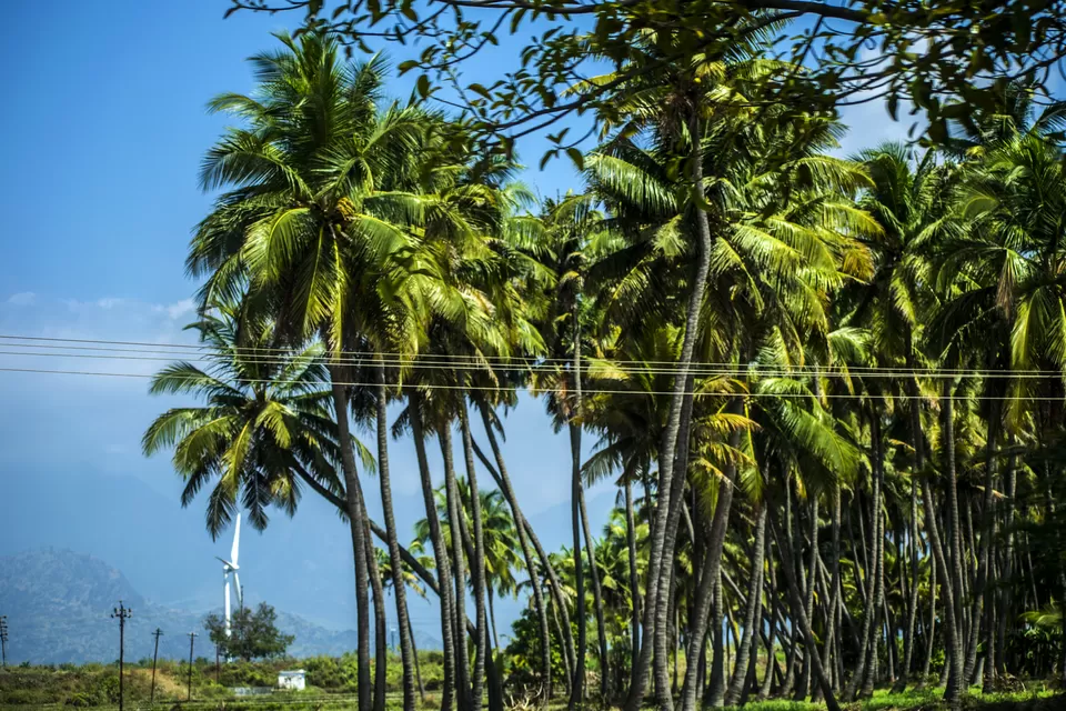 Photo of Hotel Rohini International, Thiruvananthapuram - Ponmudi Road, Vithura, Kerala, India by Aprajita Parkash