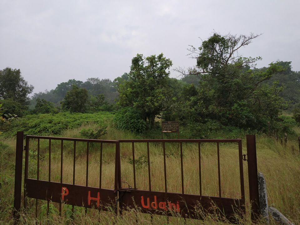 Photo of PAWANA LAKE, LONAVALA by Yogesh Singh