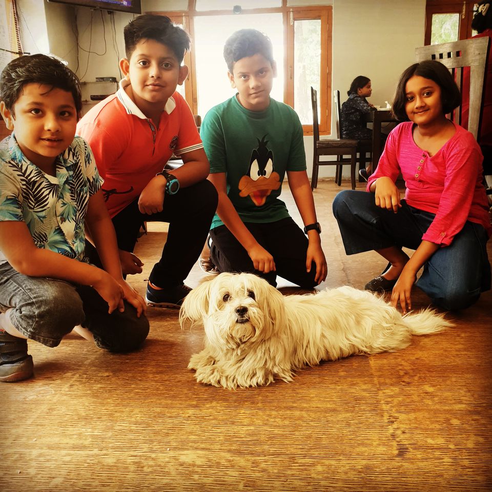 Photo of Every Place needs a Wagging Tail and Slobbery Kisses. 3/7 by Vaishali Tanwar