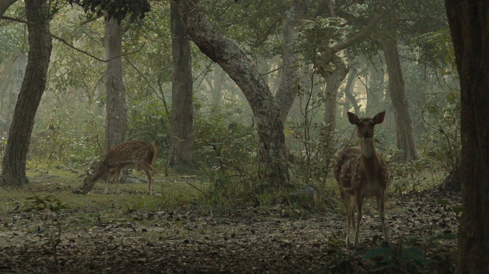 Photo of Most Underrated National Park in Uttar Pradesh 5/12 by Rashid Mohd