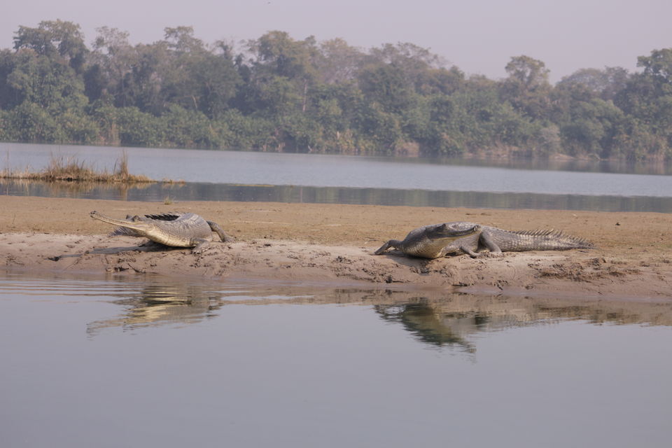 Photo of Most Underrated National Park in Uttar Pradesh 6/12 by Rashid Mohd