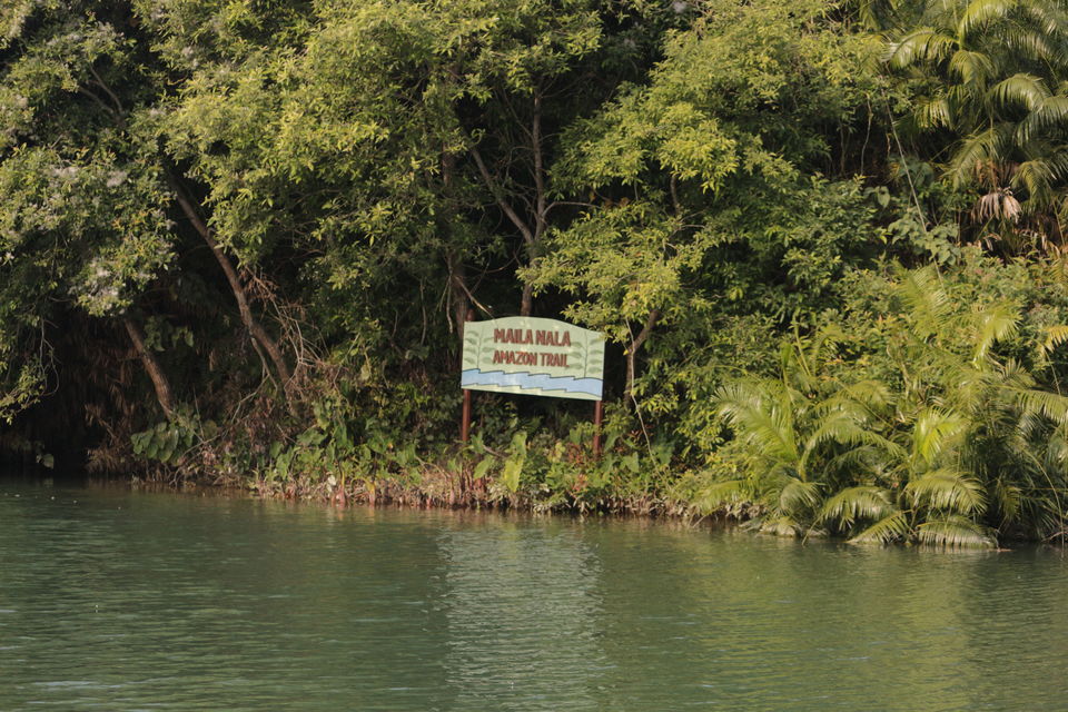 Photo of Most Underrated National Park in Uttar Pradesh 8/12 by Rashid Mohd