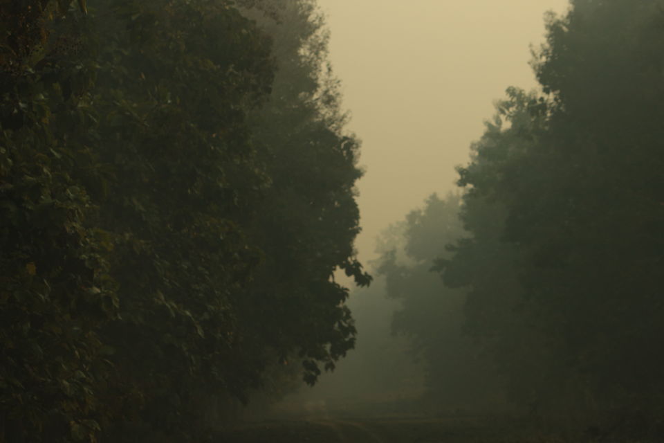 Photo of Most Underrated National Park in Uttar Pradesh by Rashid Mohd