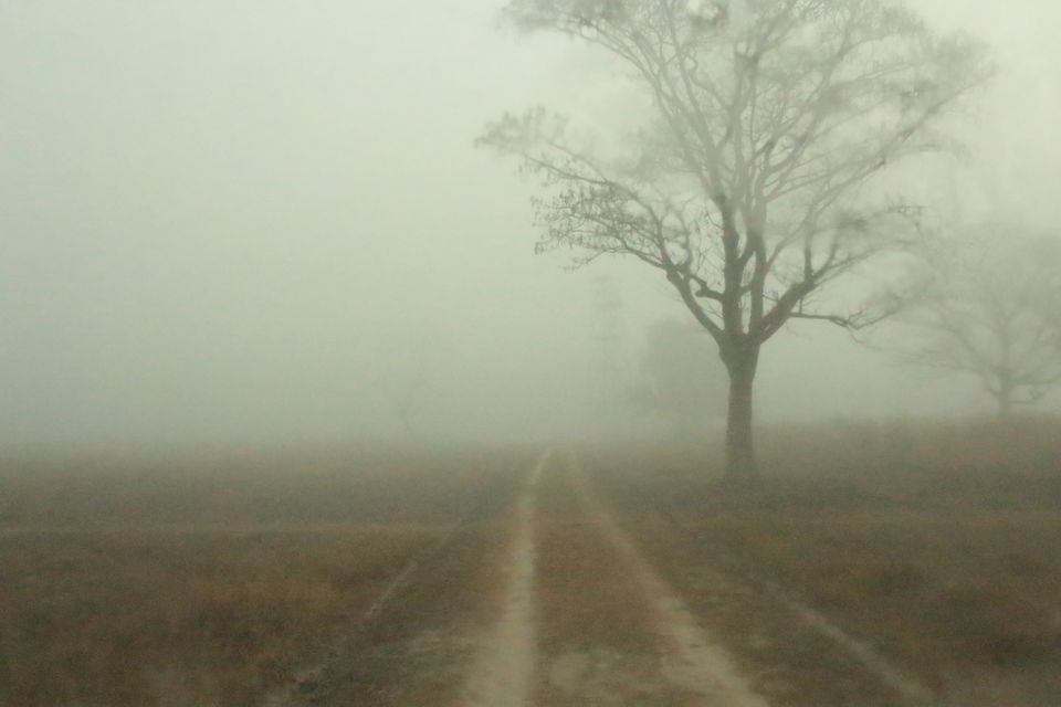 Photo of Most Underrated National Park in Uttar Pradesh 1/12 by Rashid Mohd
