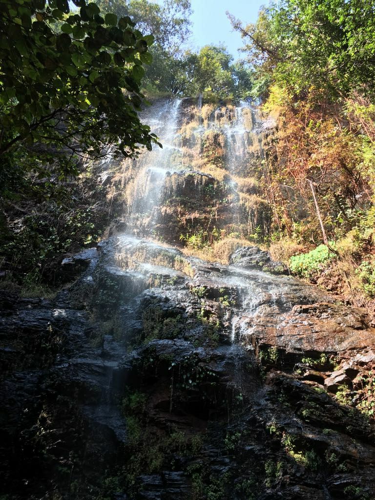 Photo of Amazing Trip by amit raj