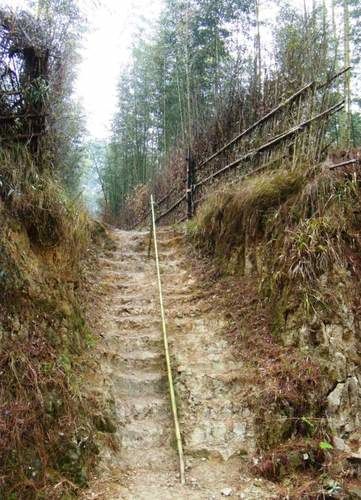 Photo of Ziro by Dipu Darko