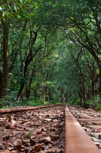 Photo of Matheran, Maharashtra, India by Dipu Darko