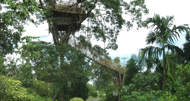 Photo of Mawlynnong, Meghalaya, India by Dipu Darko