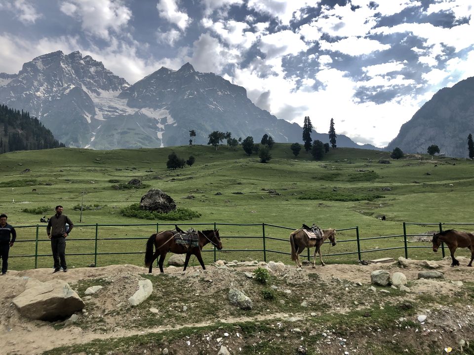 Photo of Drive from Srinagar to Leh via Sonmarg and Kargil 2/21 by Dipu Darko