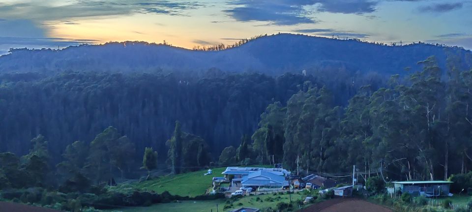 Photo of Sterling Ooty Fern Hill by Surbhi Somani