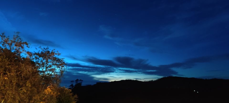 Photo of Sterling Ooty Fern Hill by Surbhi Somani