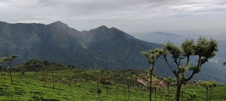 Photo of Charm of South India (Luxury Trip in 15k) by Surbhi Somani