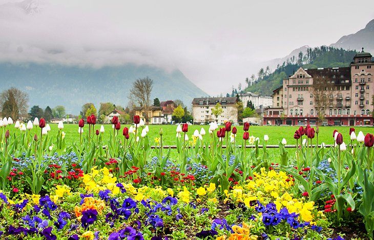 Photo of My Visit to a Postcard - Interlaken by Amrita Pillai
