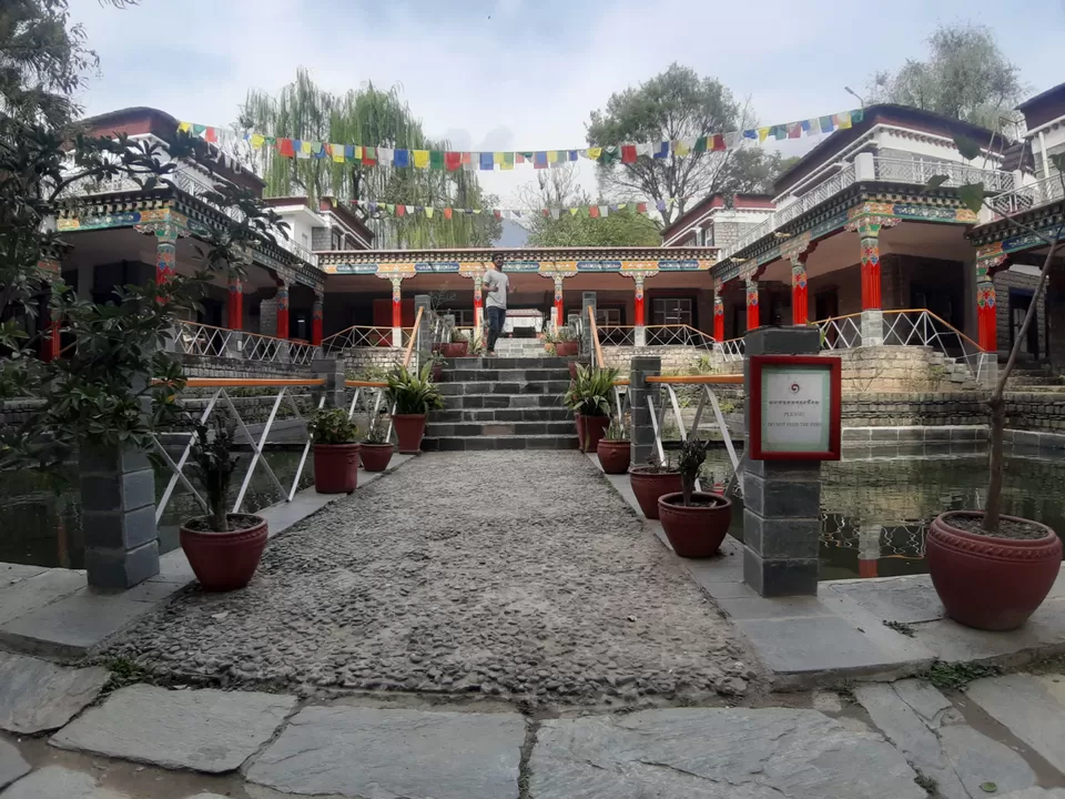 Photo of Regional Mountaineering Centre McLeodganj By Rastafarian_ B.B.i