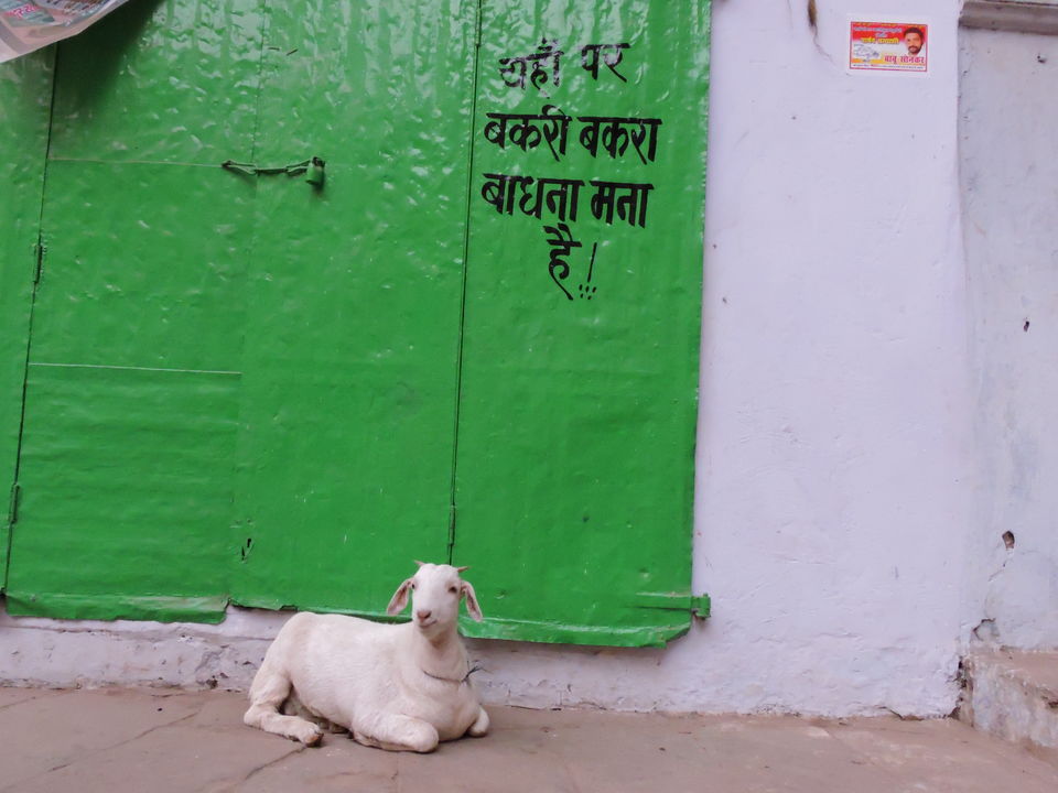 Photo of 4 ways of exploring Banaras beyond the Ghats! 10/10 by Nidhi Bhati